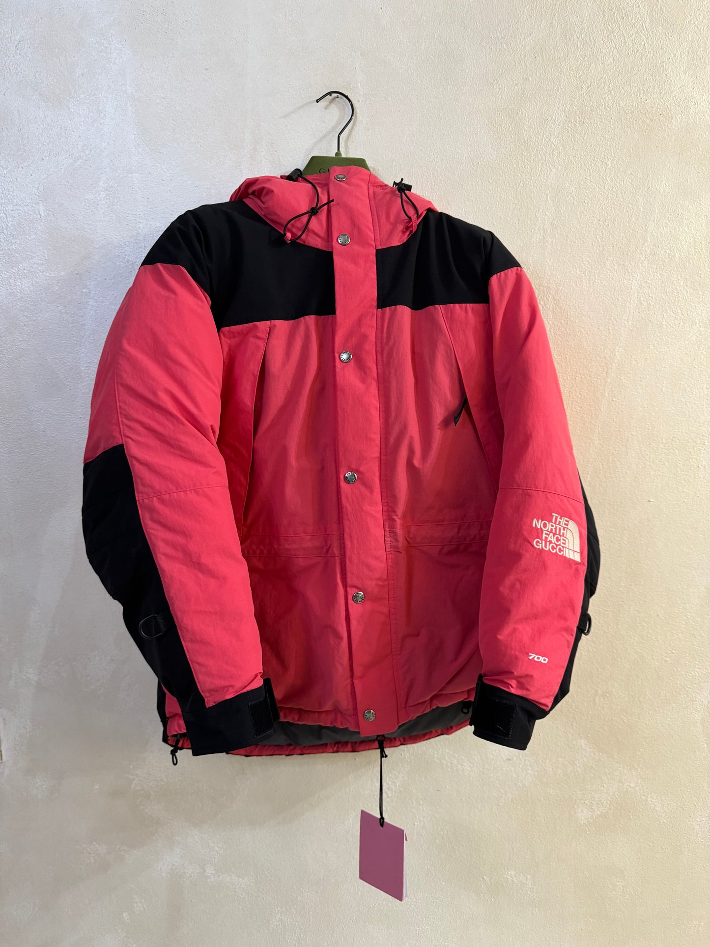 Gucci x TNF Parka